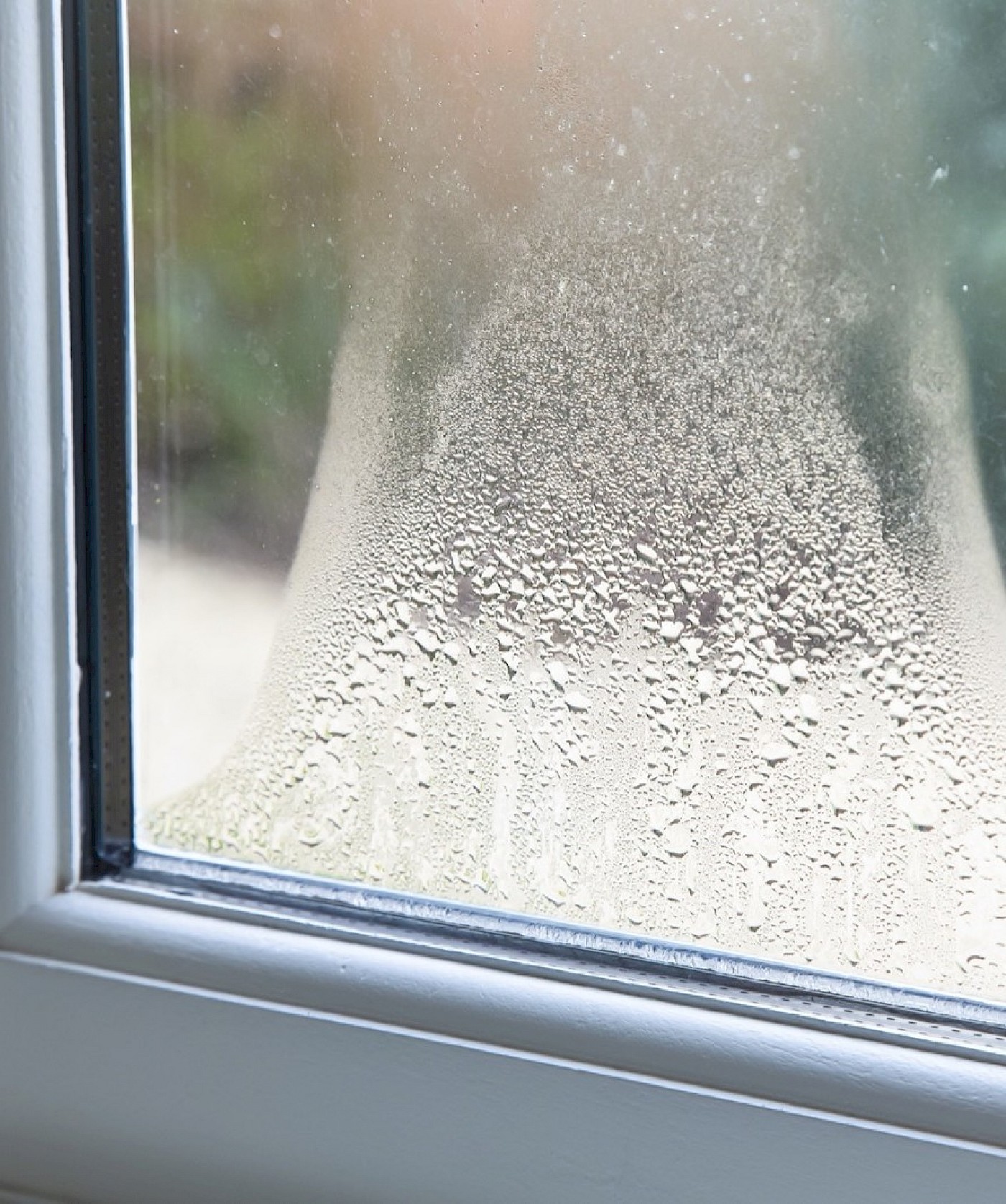 Kondenswasser an Fenster