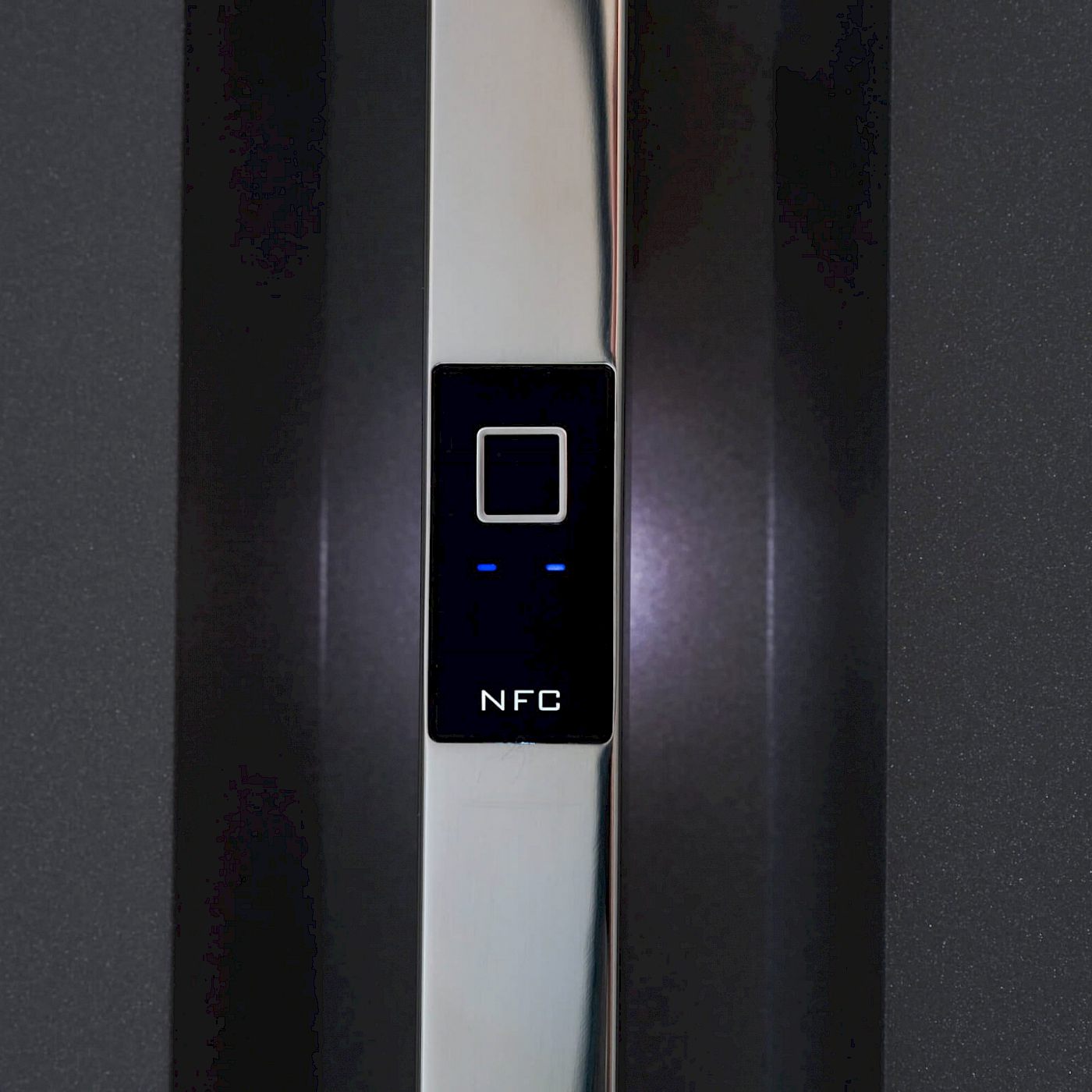 Moderne Haustüren mit Fingerprint-Zugang